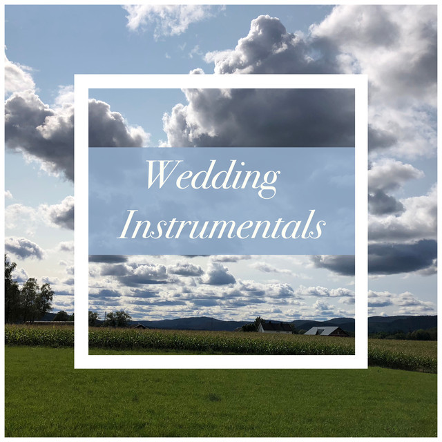 Wedding Instrumentals playlist by 1165 Recordings Spotify