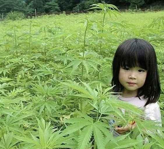 Yes Playlist By A Spotify