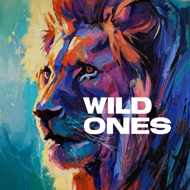 Wild Ones Setlist - playlist by calebissecond | Spotify
