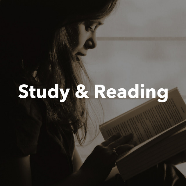  Study & Reading