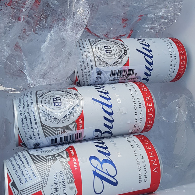 Gen Z Playlist By Aaru Spotify