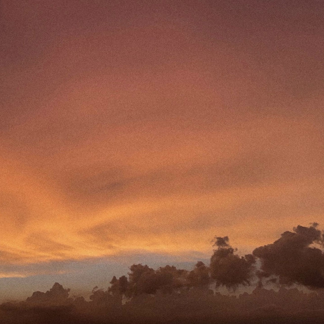 Roses Playlist By Okayymackenzie Spotify