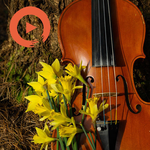 Classical Romance by musicto | Listen on Spotify, Apple Music, YouTube Music & more