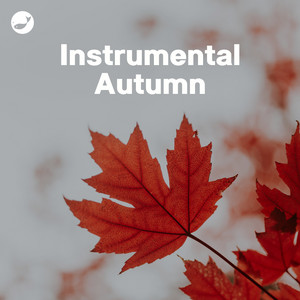 Instrumental Autumn 🍂 - playlist by your own kind of music | Spotify
