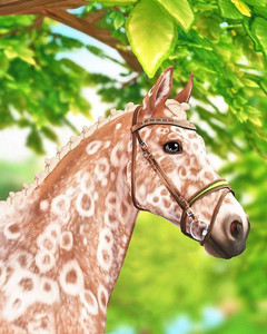 Star Stable Training - playlist by Daisyxoxo | Spotify