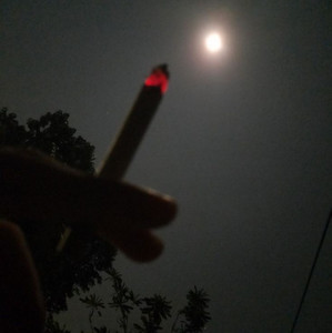 Daddy Issues Mommy Issues Playlist By рџђєрџђ Spotify