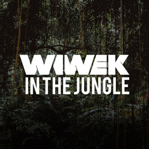 Wiwek in the Jungle - playlist by Wiwek | Spotify