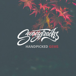 SwagyTracks: Handpicked Gems - playlist by swagy.tracks | Spotify