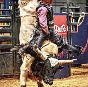 Bull riding bangers🤙🤌 - playlist by Ike Dredge | Spotify