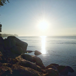 рџ Playlist By Dev Spotify