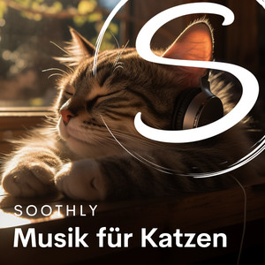 Musik für Katzen - playlist by Soothly | Spotify