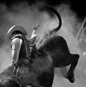 Rodeo - playlist by dave | Spotify