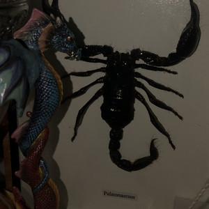 ｧ孕illy Playlist By ﾂｿﾂｿ Spotify