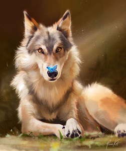 ``Dear Rabbit, I know im a wolf.`` (Also my Favorite songs.) - playlist ...