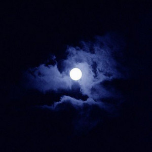Blue line - playlist by Jepan Spotify