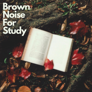 Brown Noise For Study 📚 - playlist by Dream Supplier | Spotify