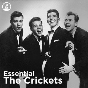 The Crickets | Spotify
