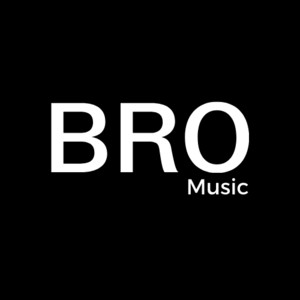 Bro Music Playlist By Bro Spotify