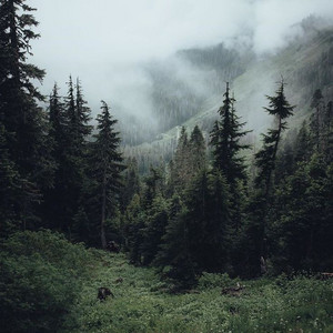 I don't wanna live in a hole anymore. playlist by Aynaz Spotify