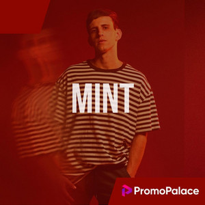 The Playlist Top in Mint