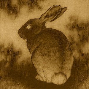 Run Rabbit Run - playlist by Kleoriby | Spotify