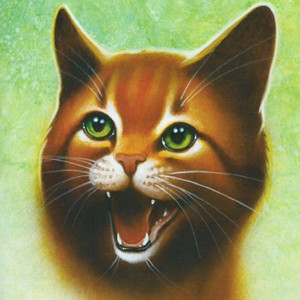 firestar || warriors - playlist by Snap | Spotify
