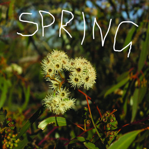 Songs to Florist to: Spring - playlist by The Little Posy Co. | Spotify