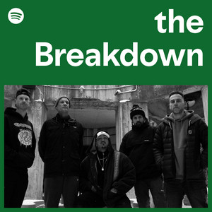 Skinhead | Spotify
