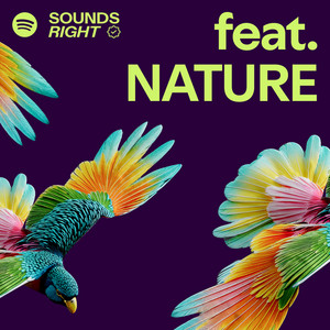 feat. NATURE