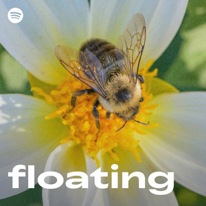 floating | Spotify Playlist