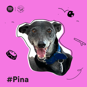 Pina Playlist By Spotify Spotify