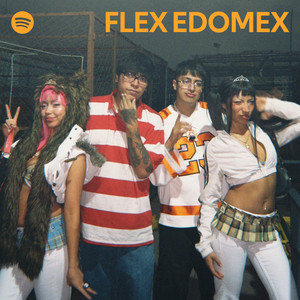 FLEX EDOMEX