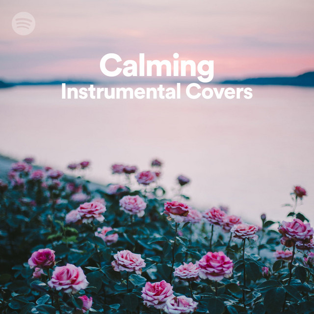 Calming Instrumental Covers Spotify Playlist