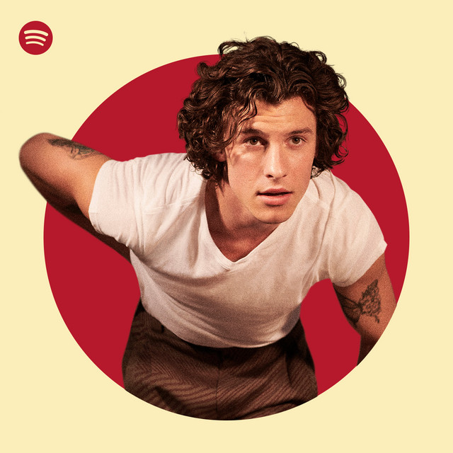 Shawn Mendes Spotify Playlist
