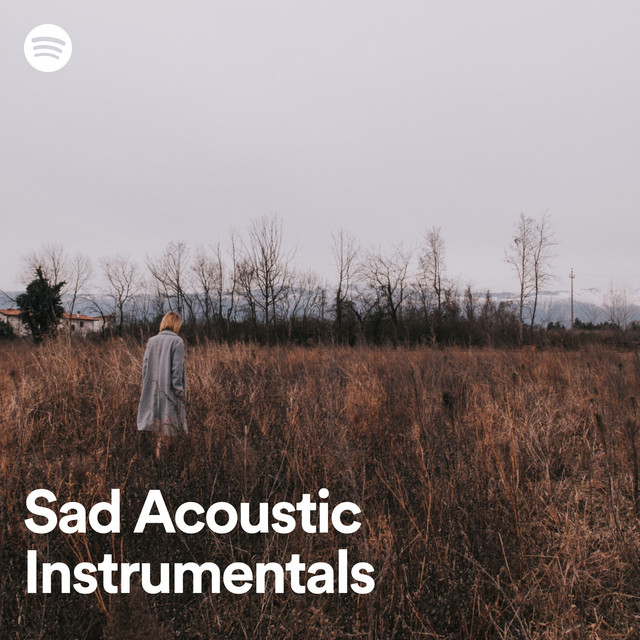 Sad Guitar Instrumentals | Spotify Playlist