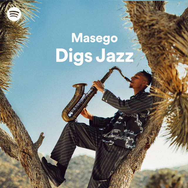 Playlist image