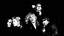 The Go-Betweens
