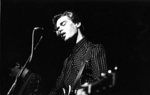 The Servants... artist photo