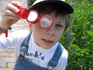 Ari Dutilh