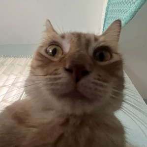 Abner