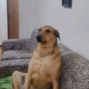 lu