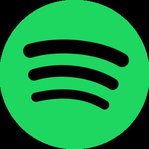 Flaemes & TIO on Spotify