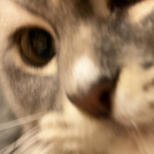 Spotify profile picture for @goodwill