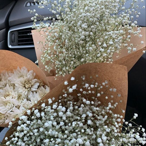 bouquet on Spotify