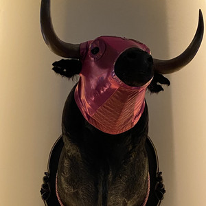 Spotify profile picture for @vice2008