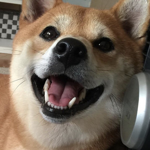 Voy