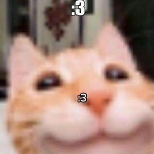Catboy