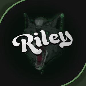 Spotify profile picture for @orgy