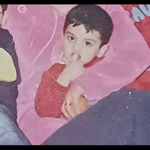 Dolfekar