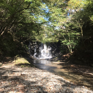 yama | Spotify